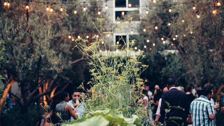 A view of the garden