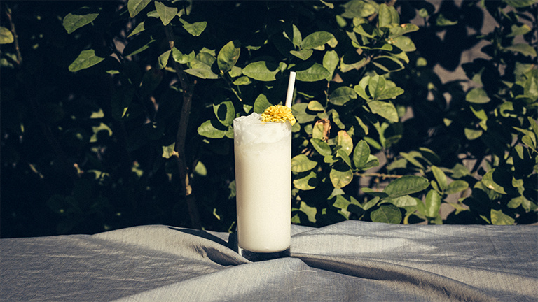 A cocktail in front of a plant