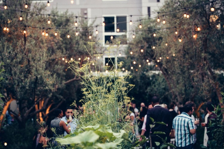 An outdoor reception in garden under string lights