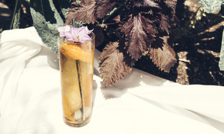 cocktail glass topped with purple flower on outdoor table