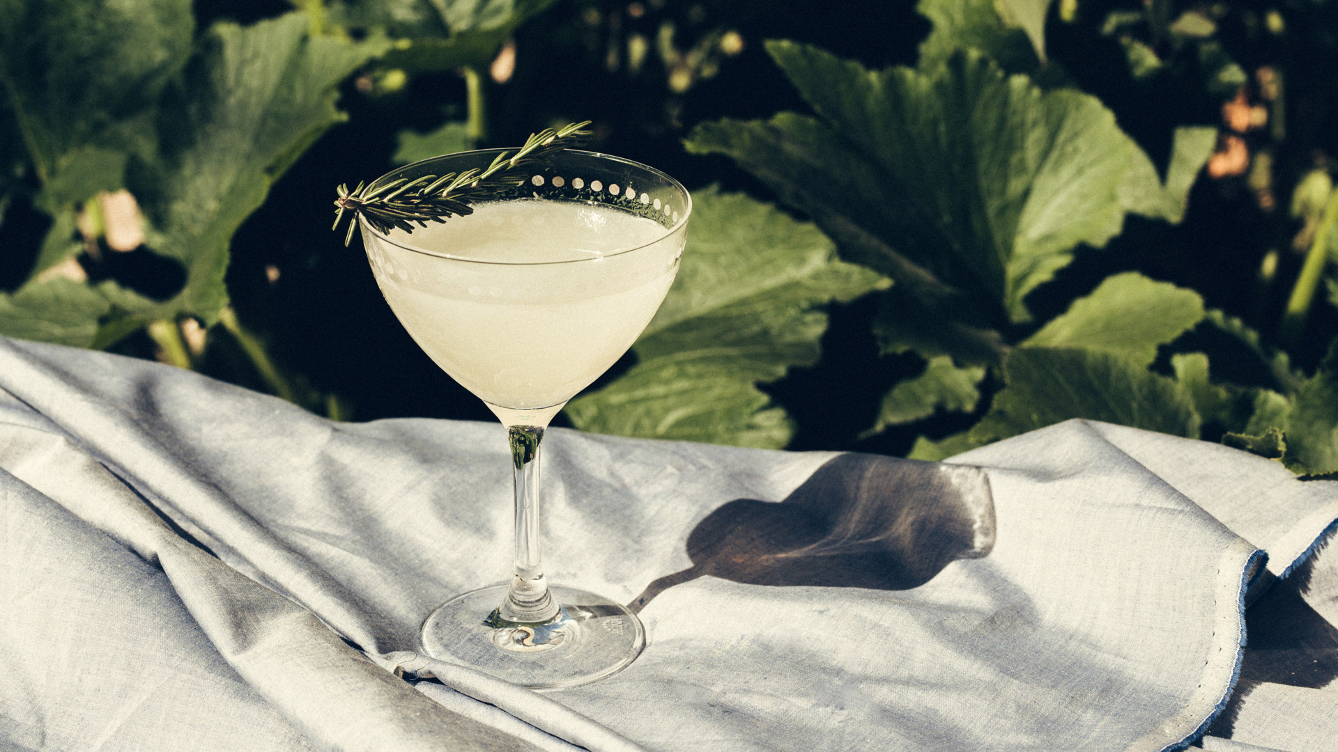 cocktail glass filled with white drink and topped with pine leaf on outside table