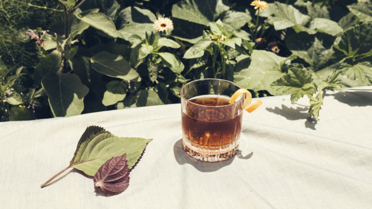 glass of the agitator cocktail with orange rind on outdoor table