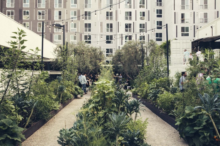 outdoor garden event space with guests mingling