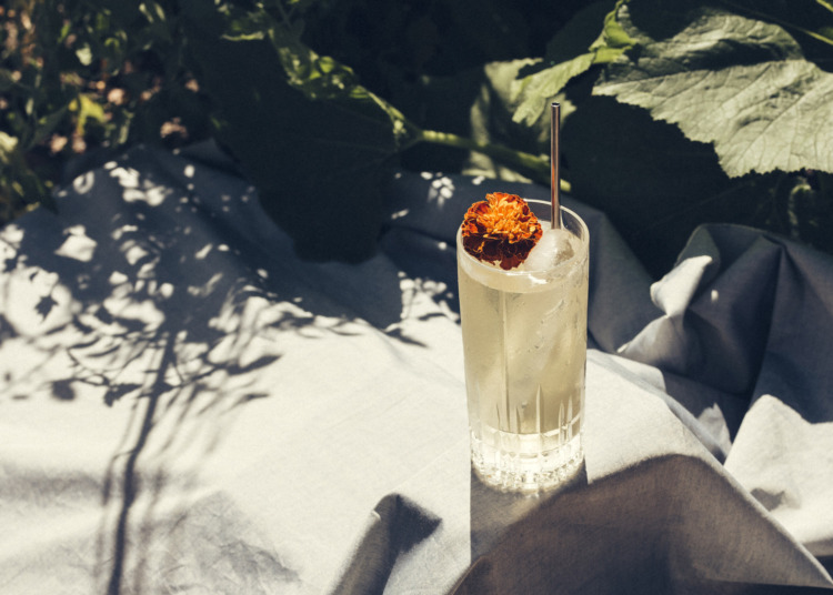 Cocktail glass with orange blossom