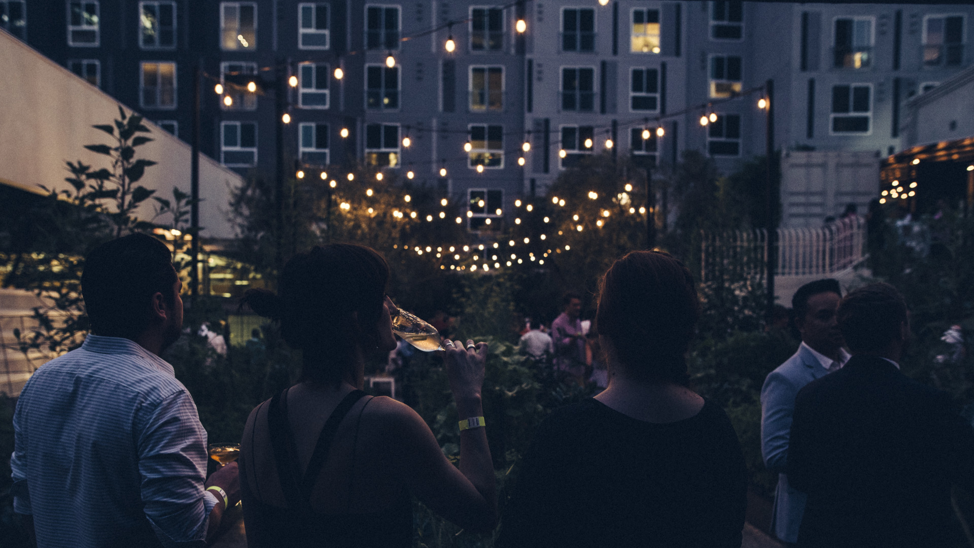 evening outdoor part with string lights