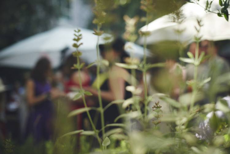 out of focus shot of garden greens with people in the background