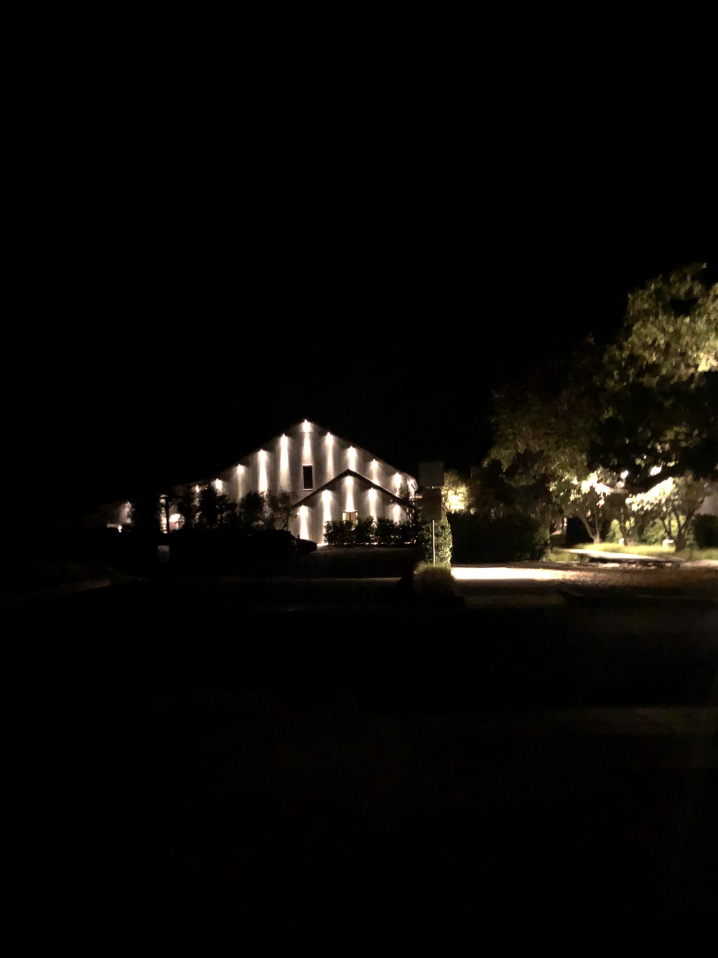 nighttime building with lights on surrounded by trees