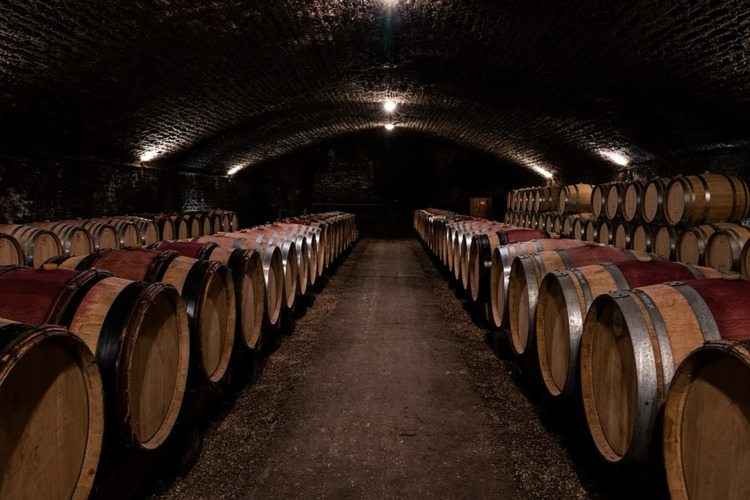 wine cellar barrels