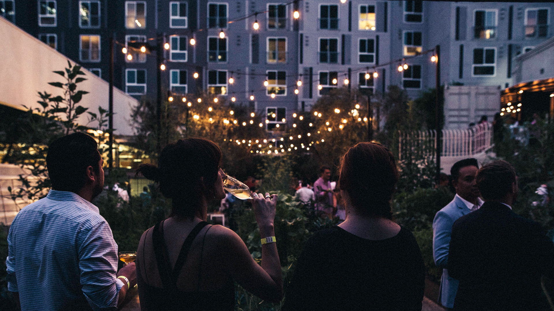 partygoers in the Redbird Garden enjoying drinks and passed hors d'oeuvres. there are three figures with their backs to the camera looking out unto the Garden. string lights hang above their heads. it is sundown