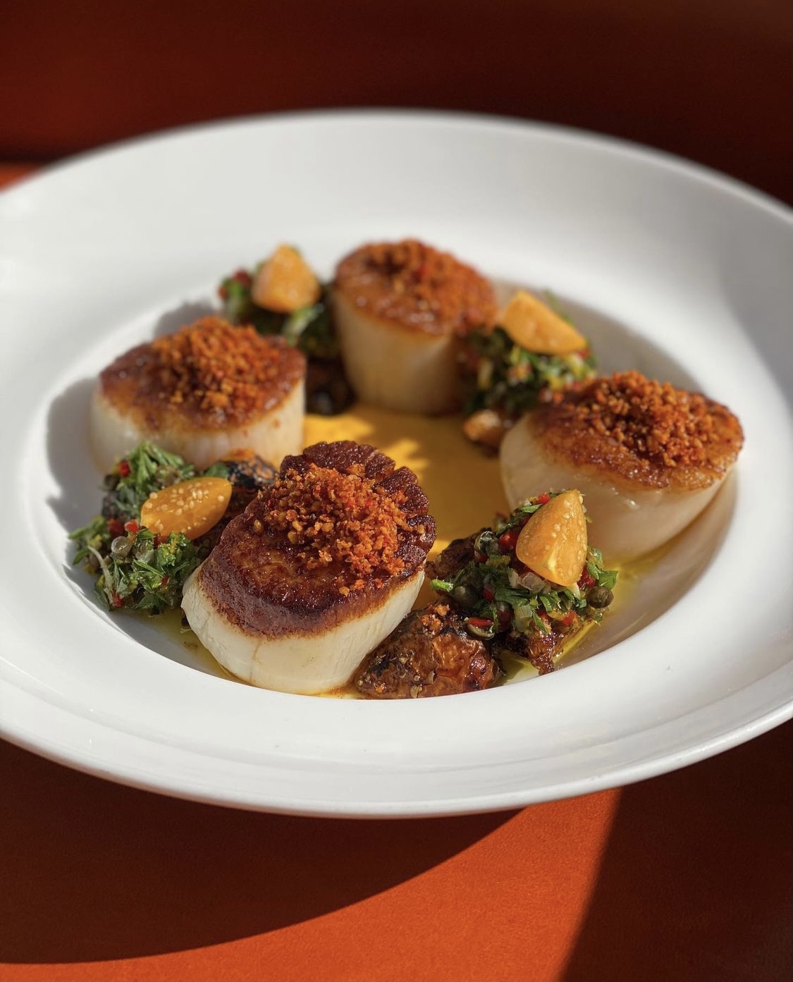 scallops on an orange background