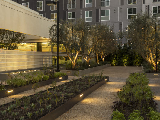 garden space surrounded by tall buildings