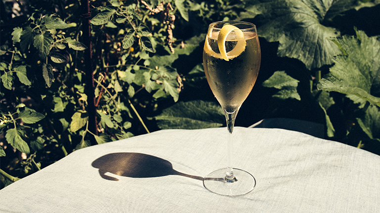 A glass of champagne set to a plant backdrop