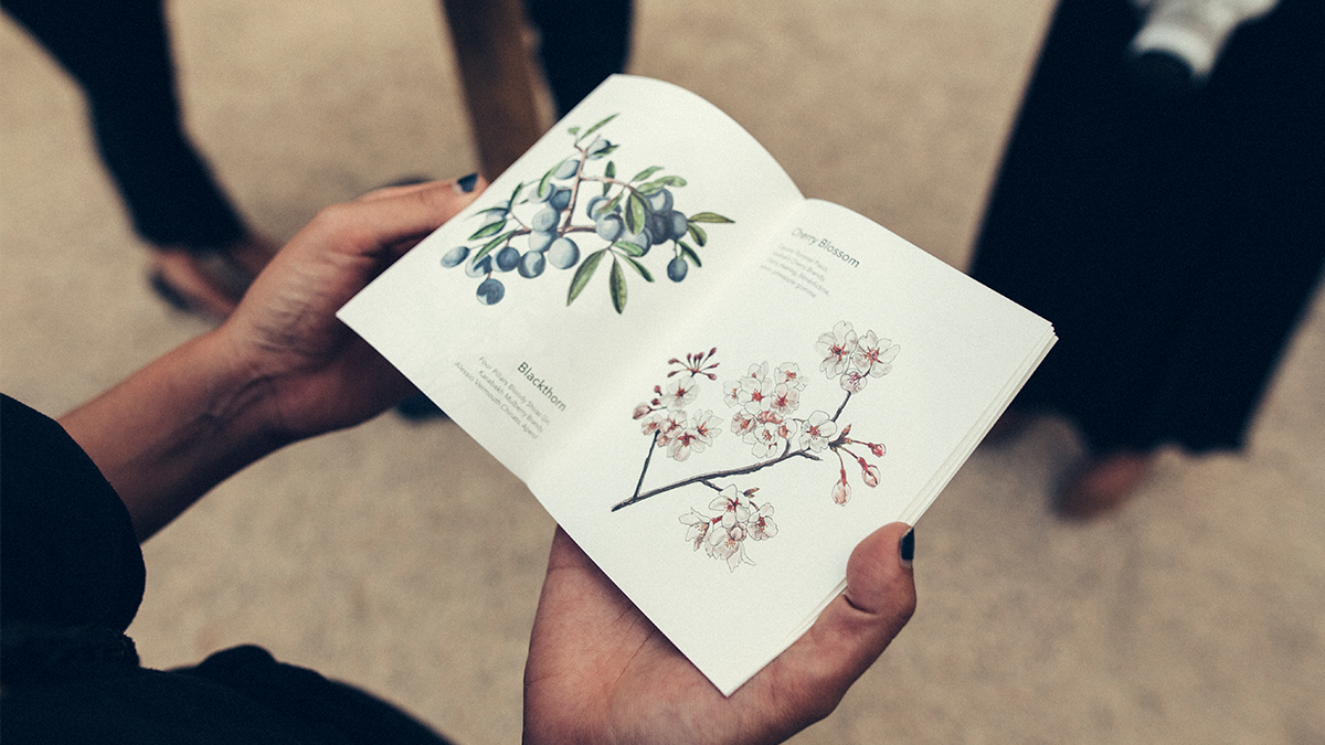 person holding open book with flower illustrations