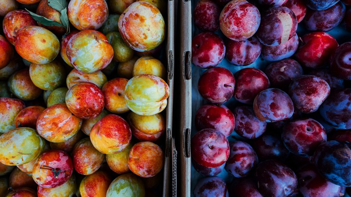 Two boxes of plums; one yellow and one purple