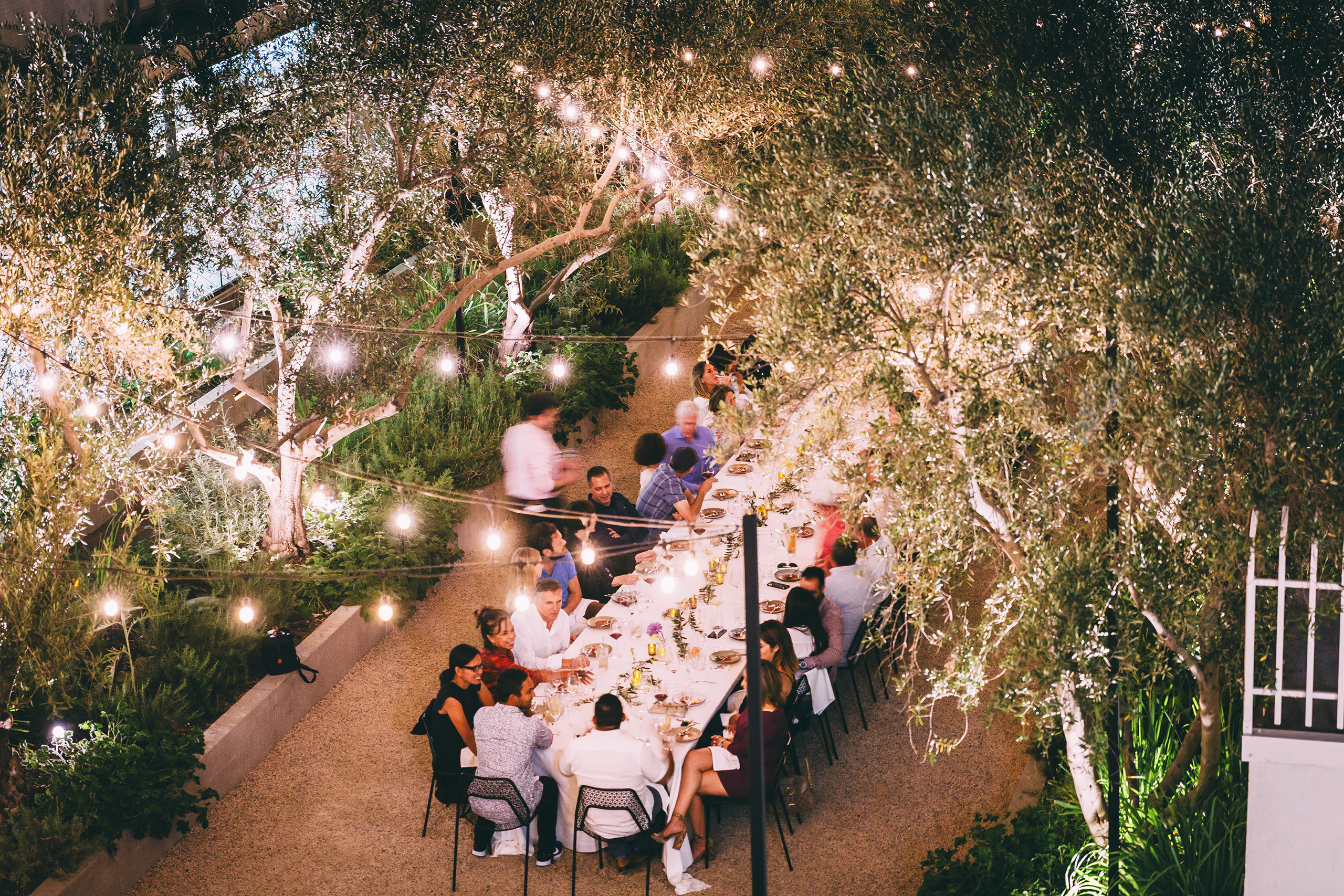 long table filled with people outside in garden under string lights