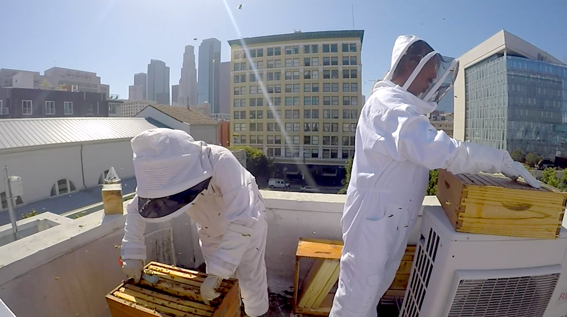 two beekeepers in white suits on city rooftop