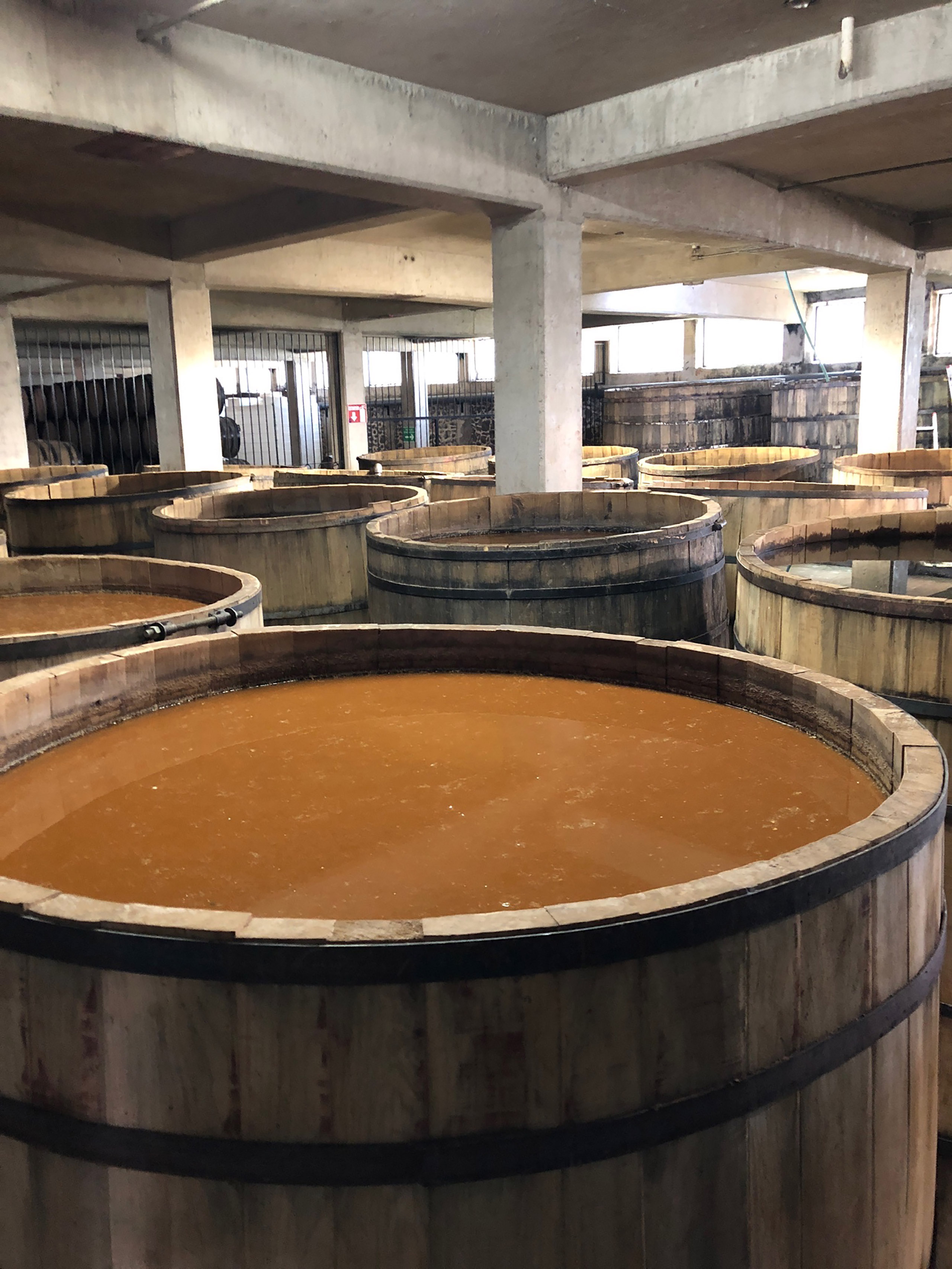 barrels of El Tesoro Tequila fermenting