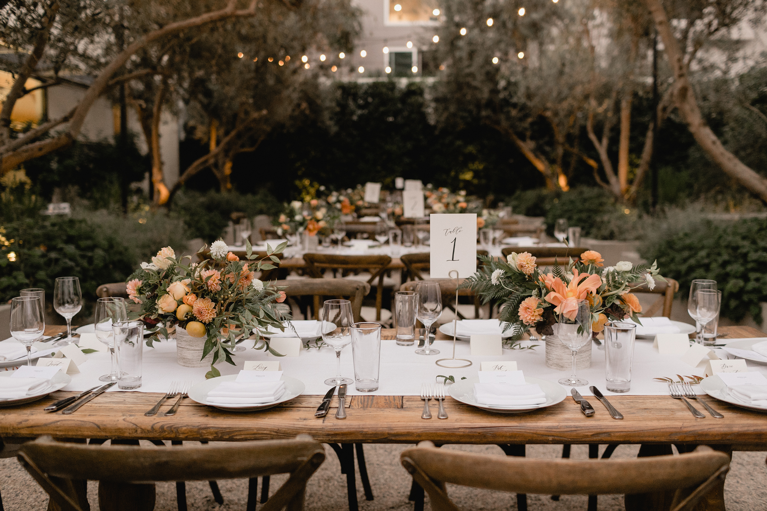 long tables in garden with string lights