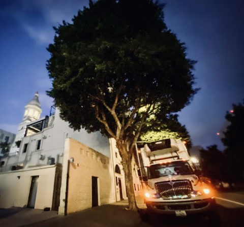 nighttime shot of Vibiana Cathedral with truck parked in front
