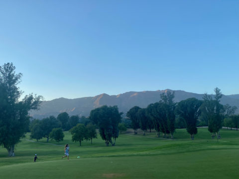 trees with mountains and kids playing soccer