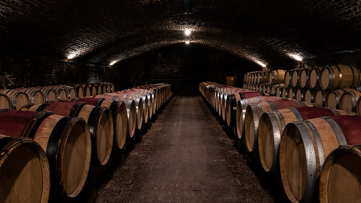 wine cellar barrels